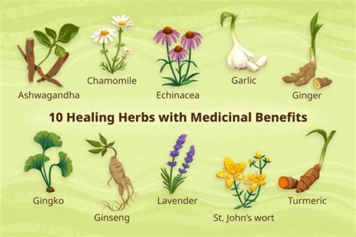 How do I start a medicinal plant business?