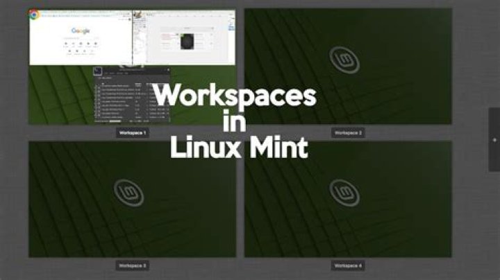 How do I switch between workspaces in Linux Mint?