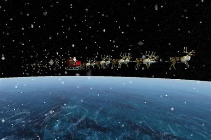 How do I track a cargo flight?