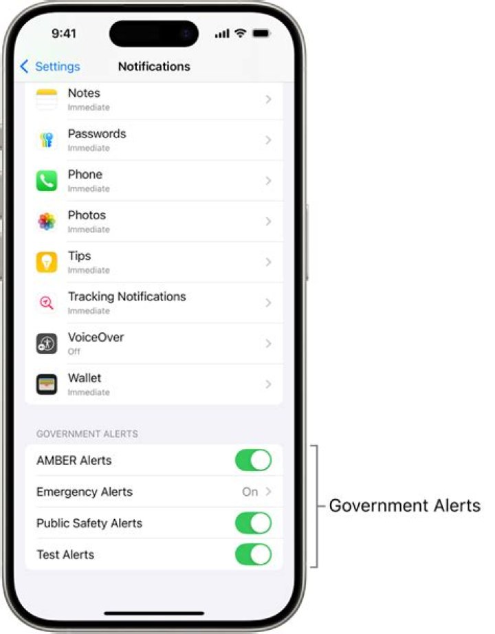 How do I turn on government alerts on my iPhone?