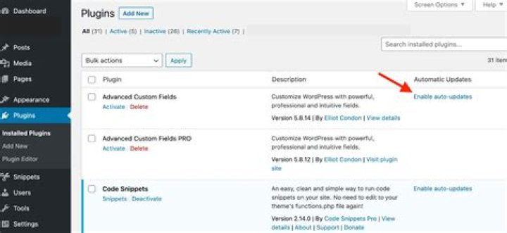 How do I update my WordPress plugins automatically?