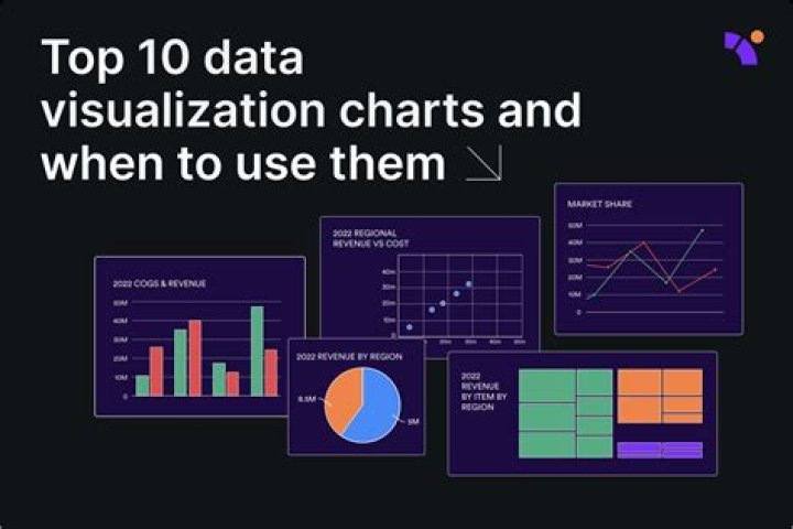 How do I view data reports in Visual Studio?