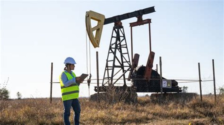 How do mineral rights work in Louisiana?