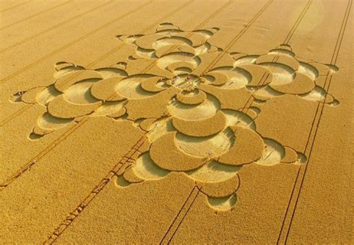 How do they make crop art?