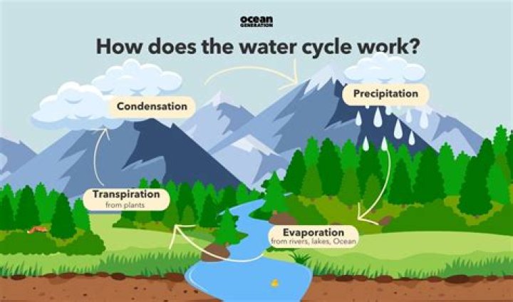 How do water cycle collections work?