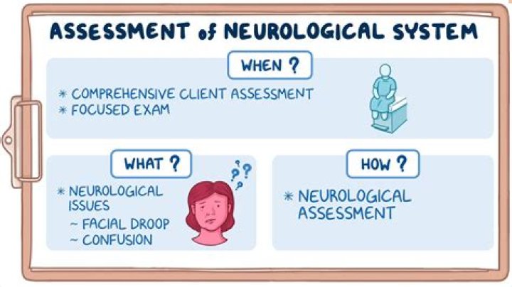 How do you assess a neuro patient?