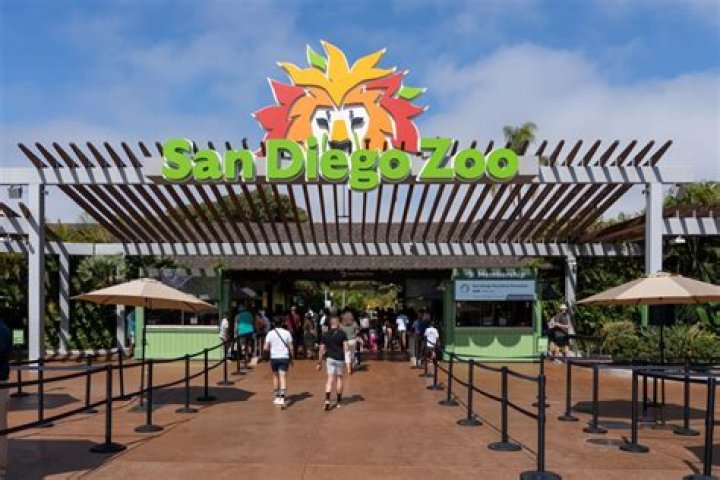 How do you become a member of the San Diego Zoo?