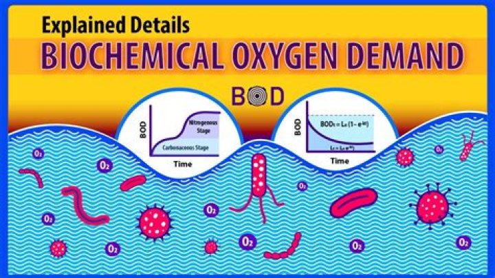 How do you calculate biochemical oxygen demand?