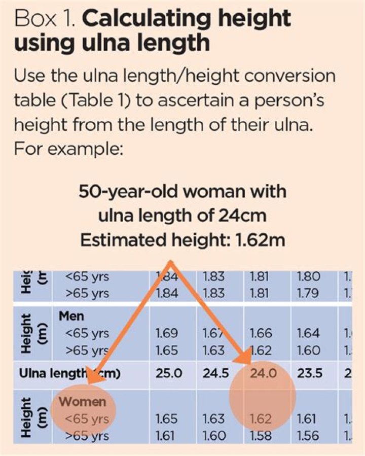 How do you calculate height from the length of a tibia?