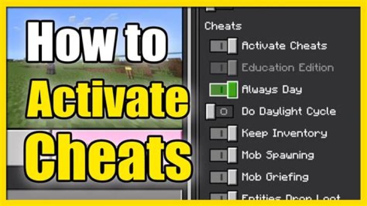 How do you cheat on tModloader?