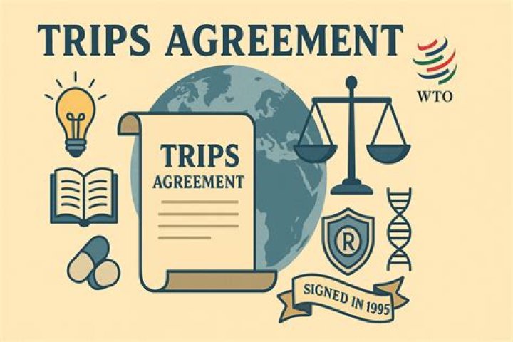 How do you cite the TRIPS Agreement?