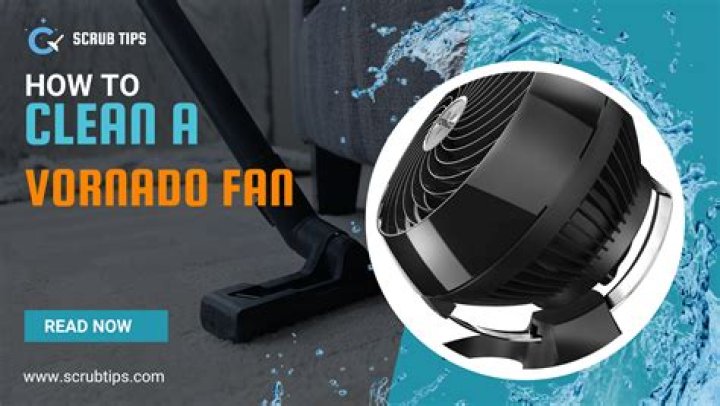 How do you clean a Vornado fan type 533?