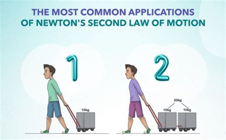 How do you convert Newtons to mass?
