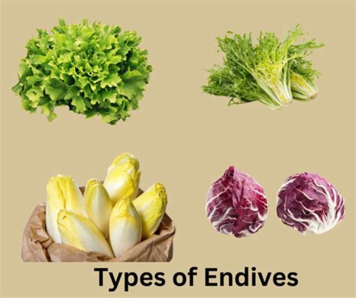 How do you cultivate endives?