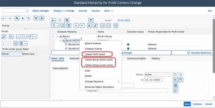 How do you display a profit center in SAP?