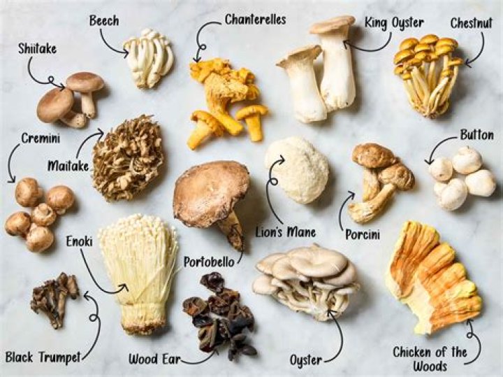 How do you dry mushrooms with Dessicant?