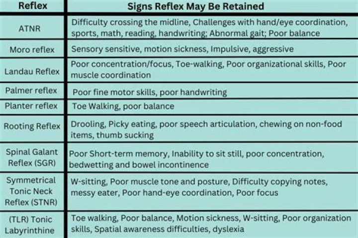 How do you explain primitive reflexes?