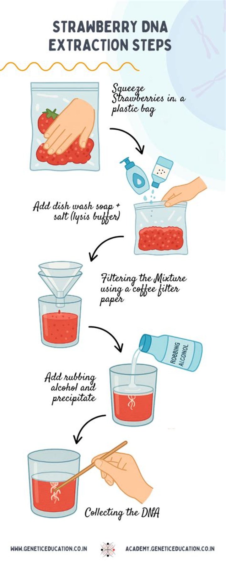 How do you extract DNA from buccal swab?