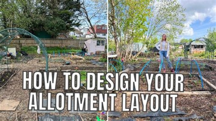 How do you find the basis of an allotment in an IPO?