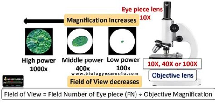 How do you find the depth of field on a microscope?