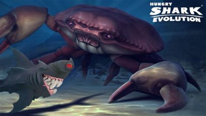 How do you find the giant black crab in Hungry Shark Evolution?