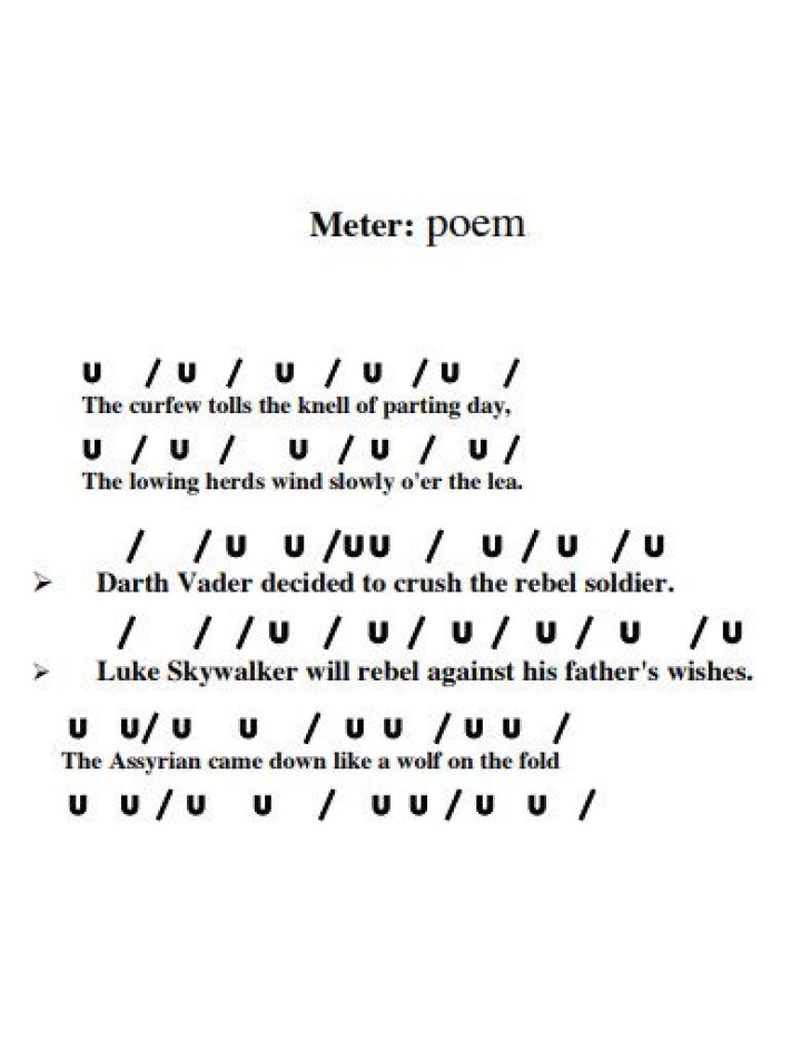 How do you find the meter of a poem?