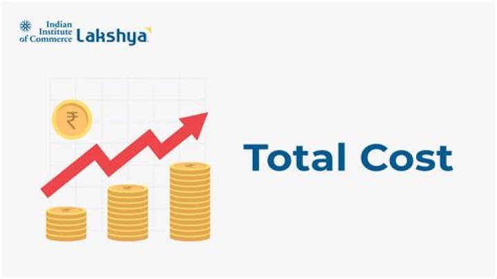 How do you find the total cost of abatement?