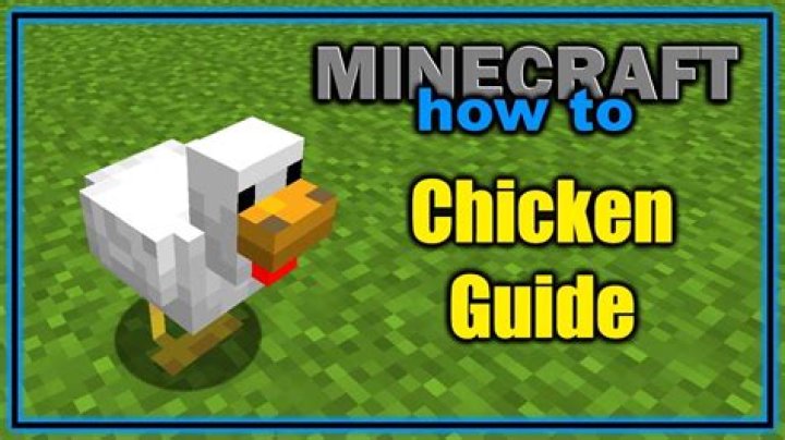 How do you get a chicken to lay an egg in Minecraft?