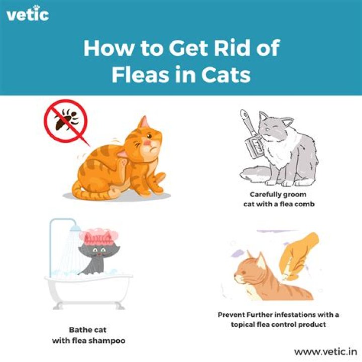How do you get rid of a cyst in water?