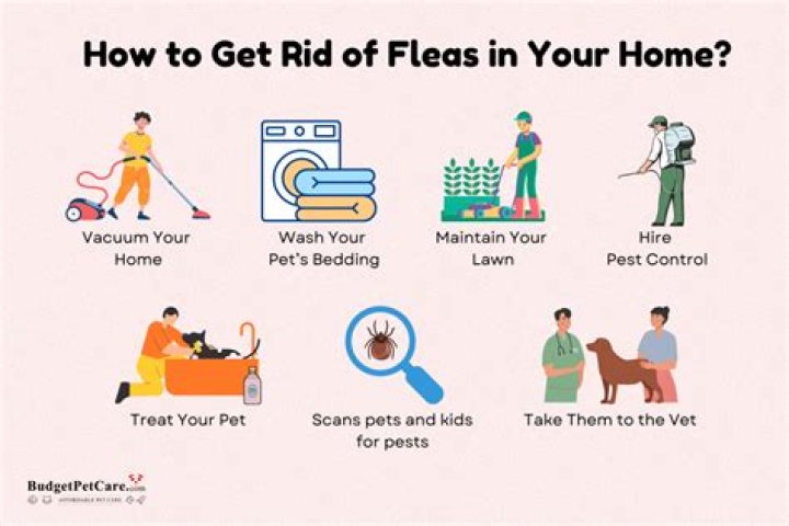 How do you get rid of a tattoo at home fast?