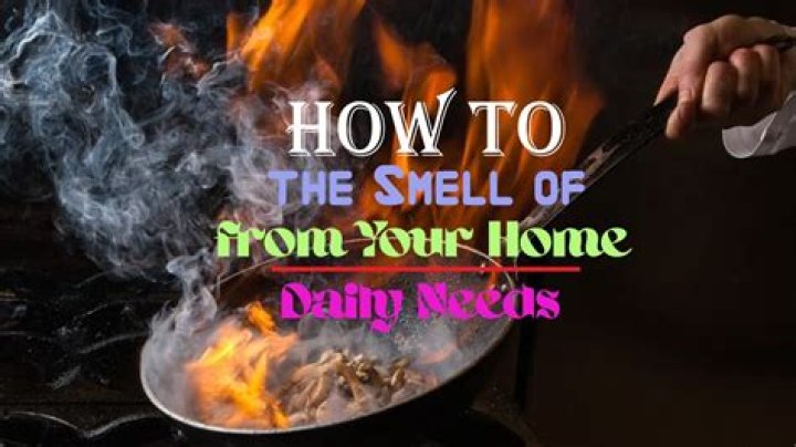 How do you get the smell of burnt food out of your house?