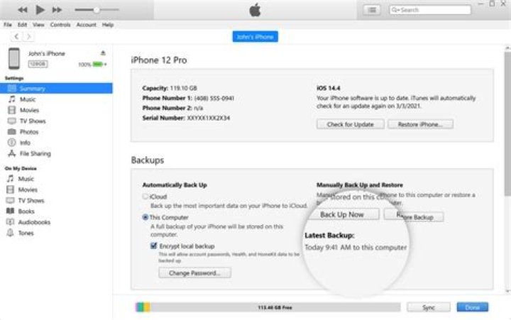 How do you get the Visualizer on iTunes?