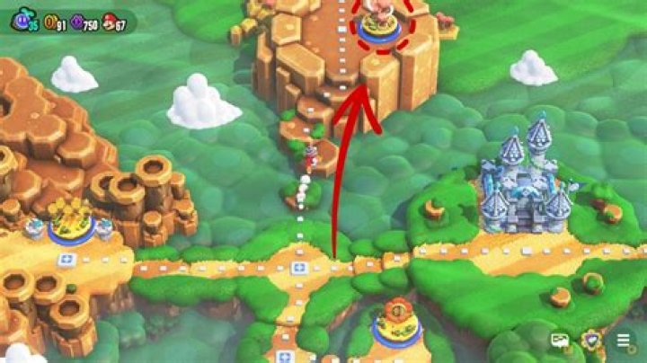 How do you get to the cannon in World 3 Super Mario Bros?