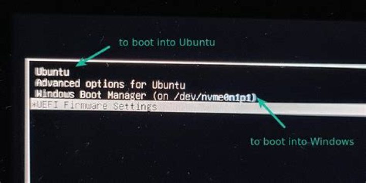 How do you get to the dual boot menu on a Mac?
