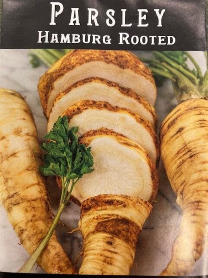 How do you grow Hamburg root parsley?