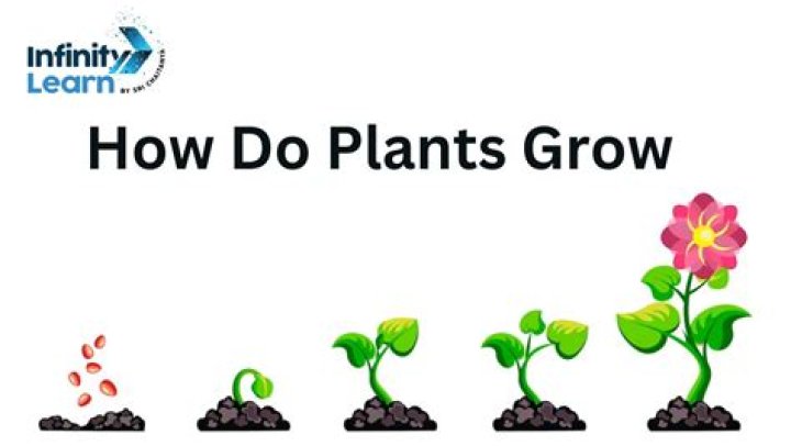 How do you grow into maturity?