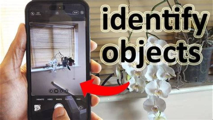 How do you identify a moving object?