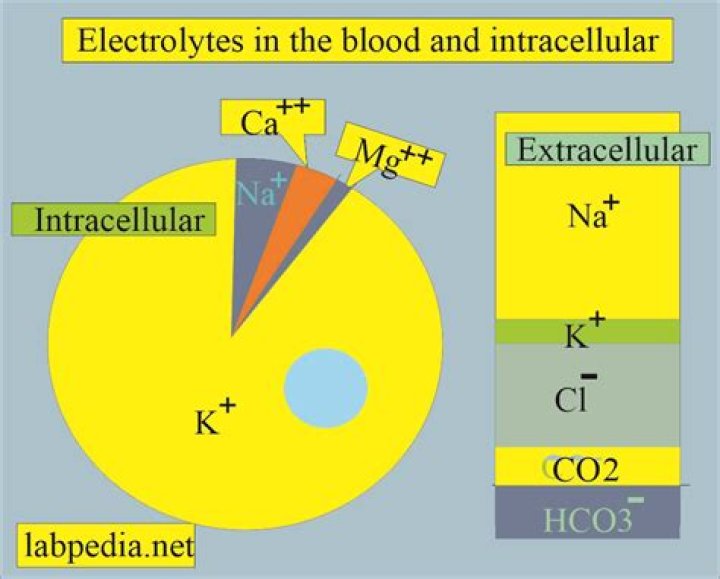How do you increase electrolytes in blood?