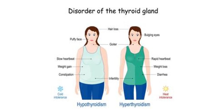 How do you know if your dog has hypothyroidism?