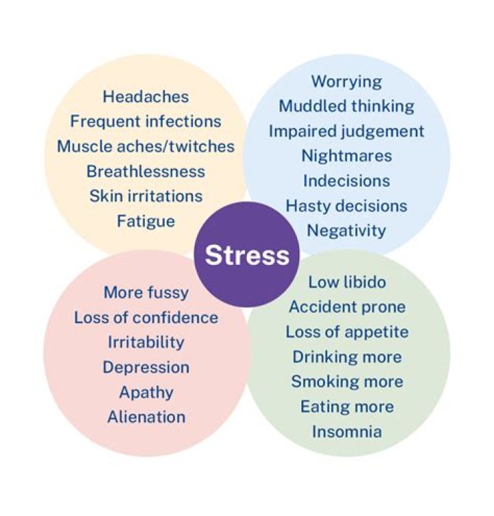 How do you know the stress of a word?