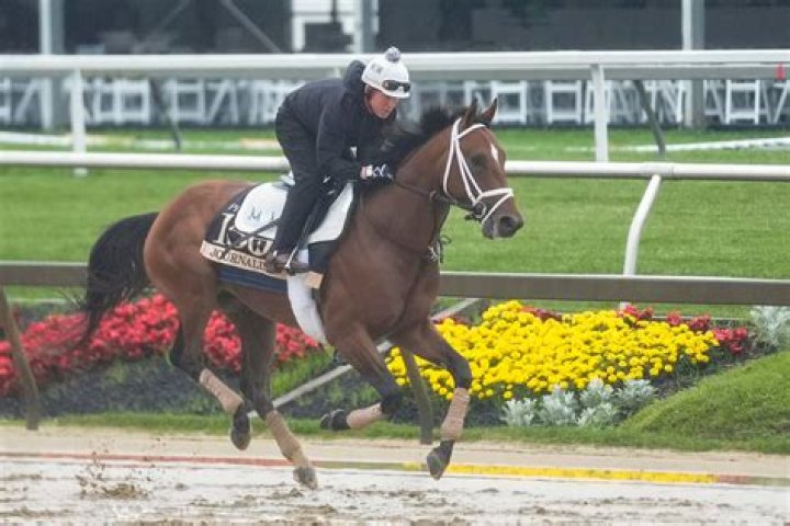 How do you make a Preakness?