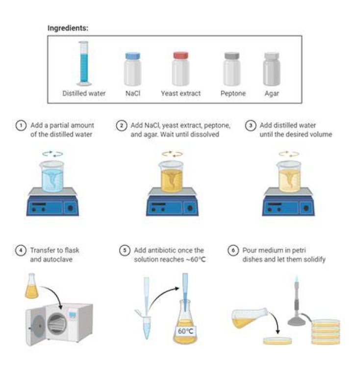 How do you make LB Amp liquid?