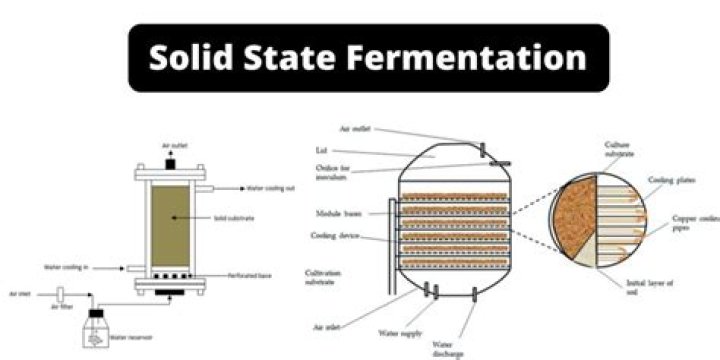 How do you perform solid state fermentation?