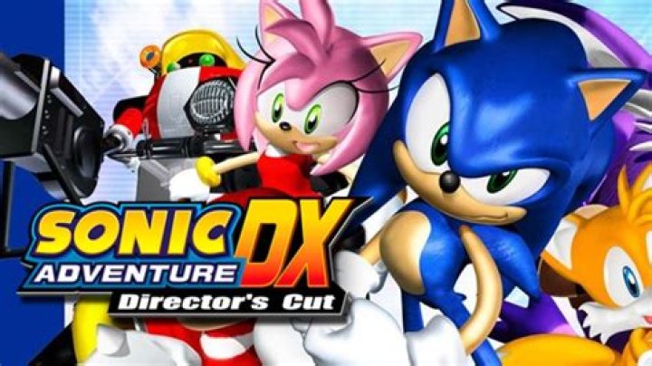 How do you raise your Chao in Sonic Adventure DX?