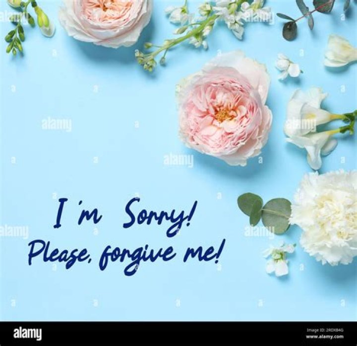 How do you say please forgive me?