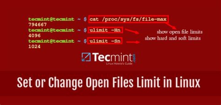 How do you set open files limit to unlimited in Linux?
