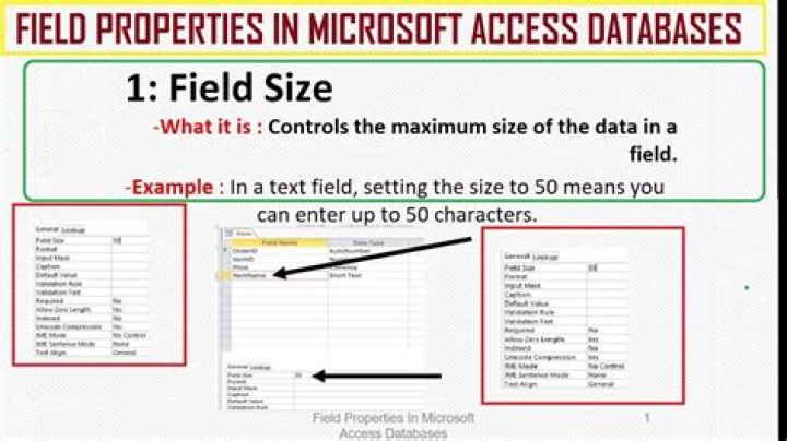 How do you show field properties in Access?