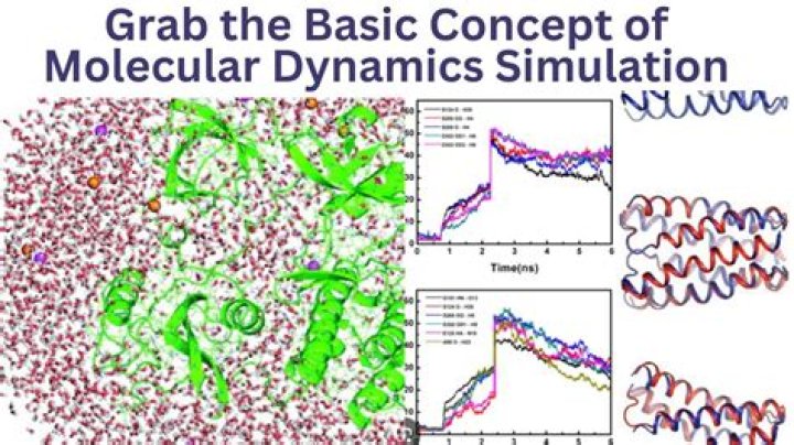 How do you simulate molecular dynamics?