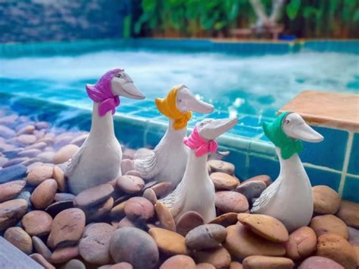 How do you spruce up an inground pool?
