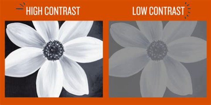 How do you take high contrast photos on iPhone?